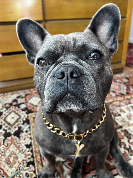 Yoda