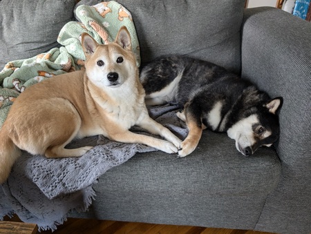 Miku & Max