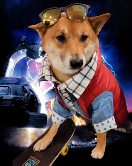 Koda