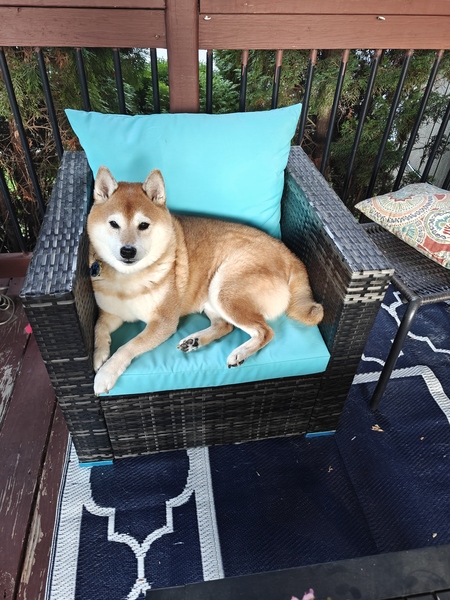 Yuki