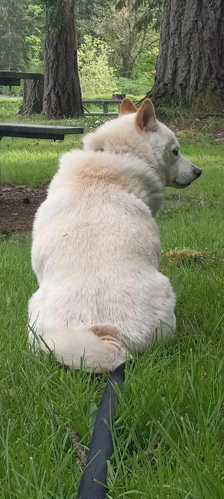 Yuki