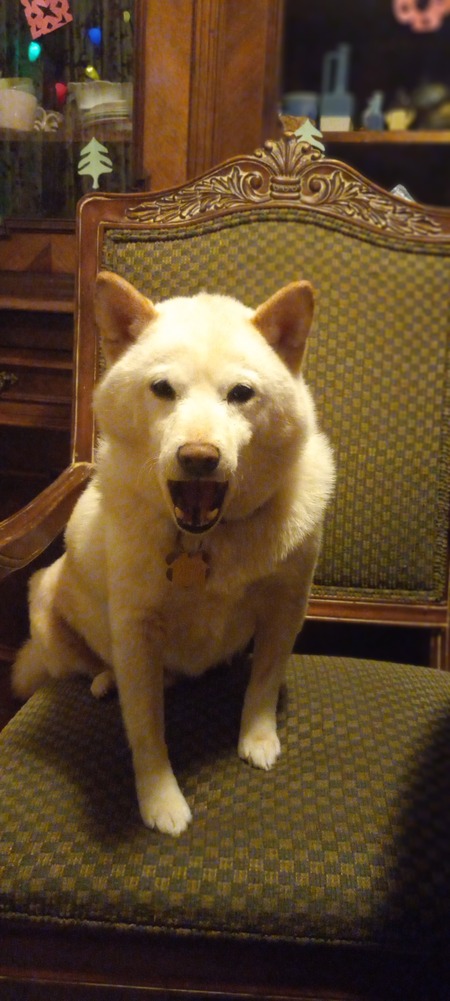 Yuki