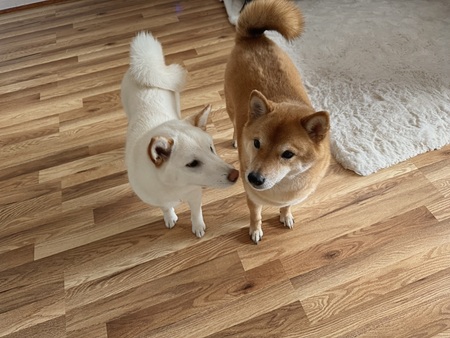 Minji and Kenji