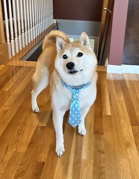 Axel