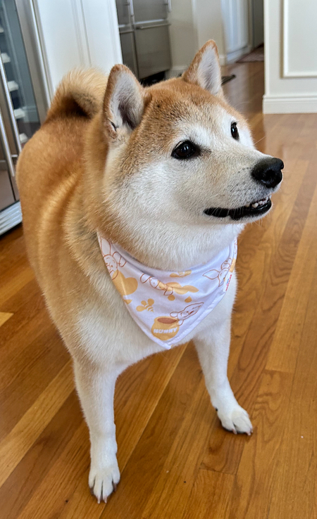 Axel 