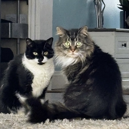 Olivia & Oscar