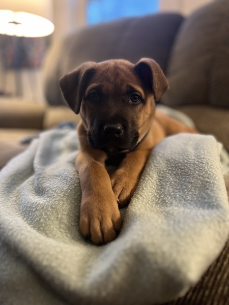 Bonnie 