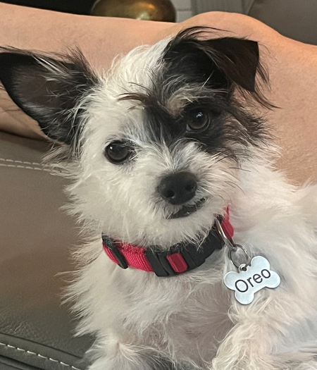 Oreo