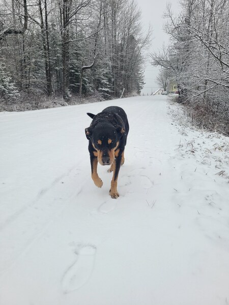Max