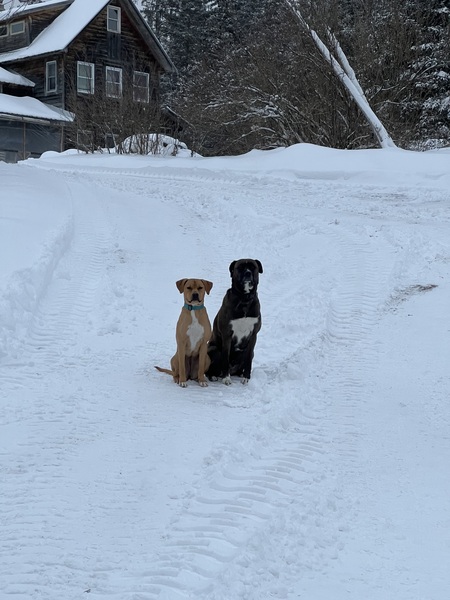 Watson & Remi