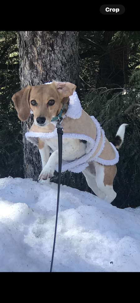 Sophie