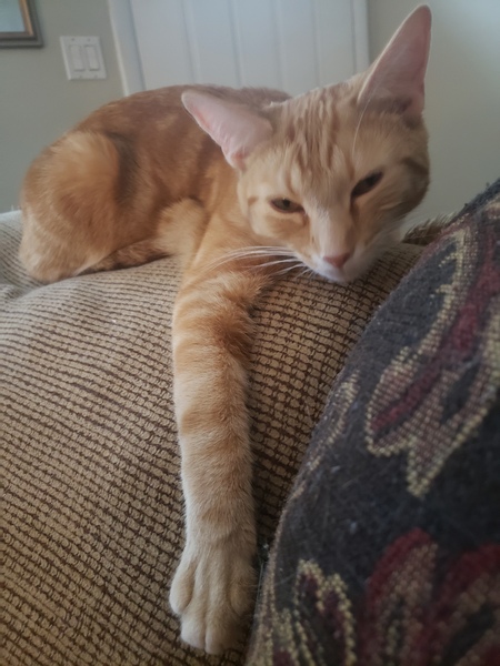 Billy