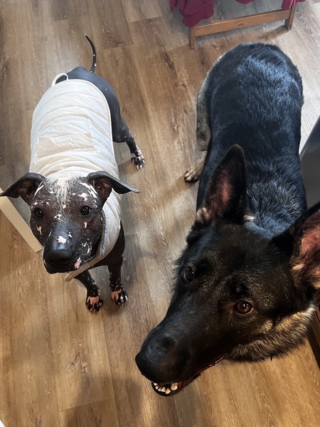 Zero and Darwin