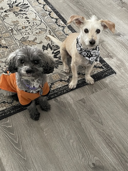 Espy & Moose