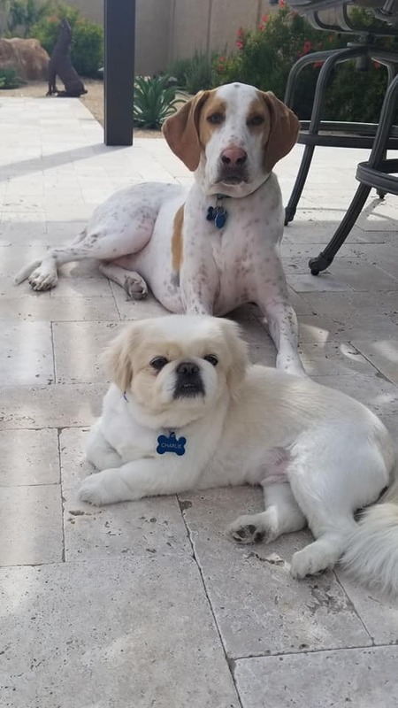 Hank and Charlie