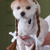 Entry image for Buffy