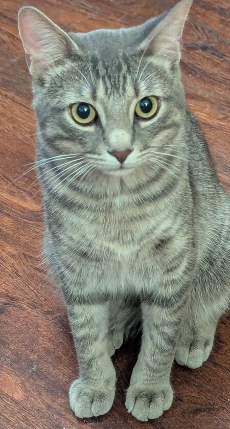 George