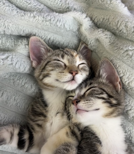 Zuko and Azula