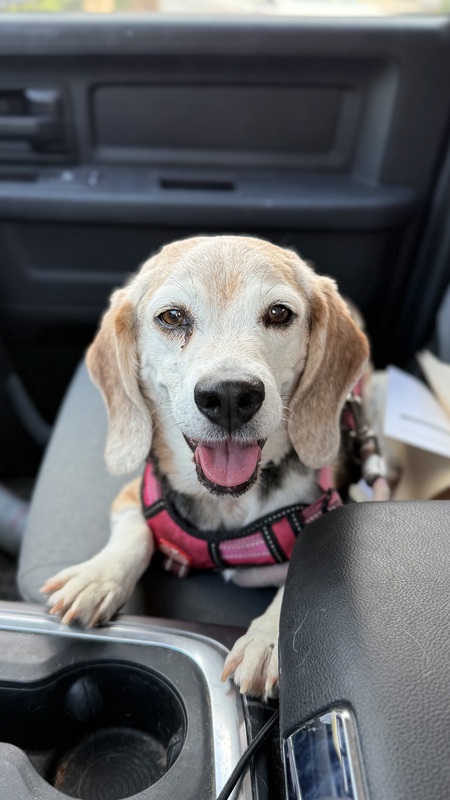 Ella