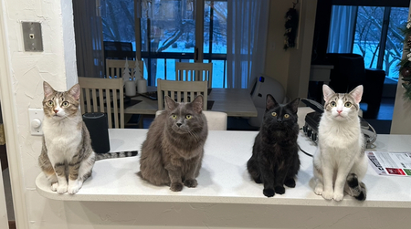 Cupid, Mr. Crab, Casper, Beau