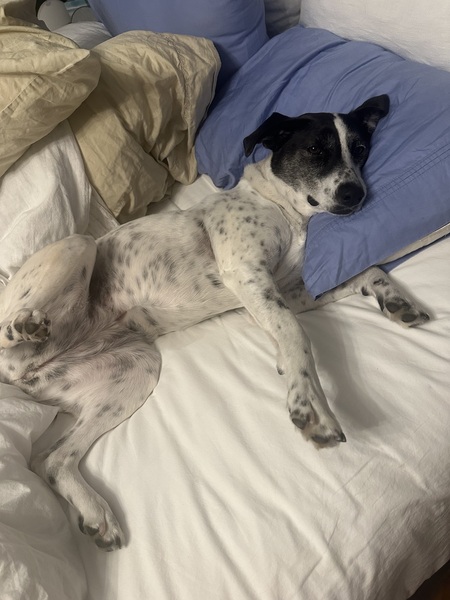 Millie