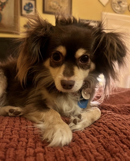 Ella Mae