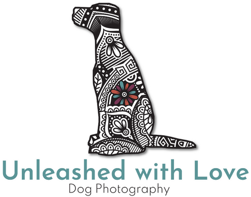 https://unleashedwithlove.com/