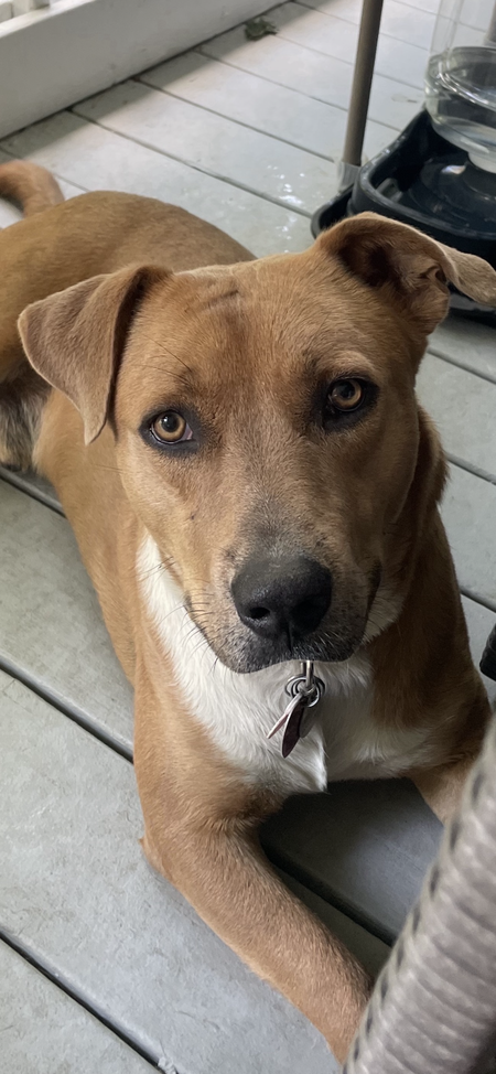 Tucker