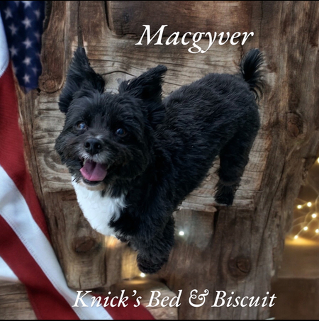 MacGyver