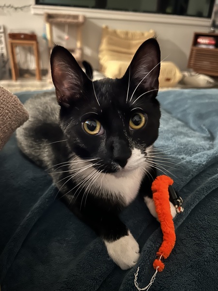 Sam