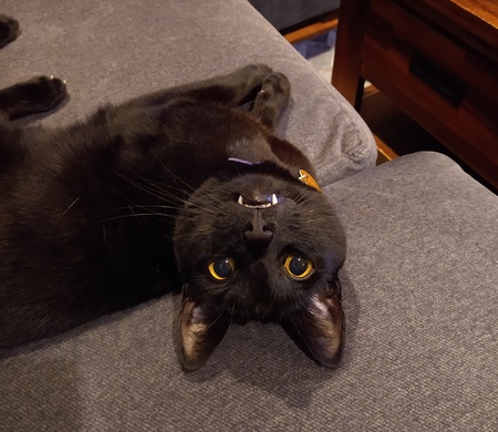 Tiberius