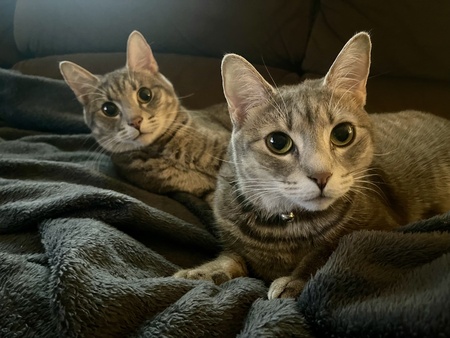 Linus and Lucy