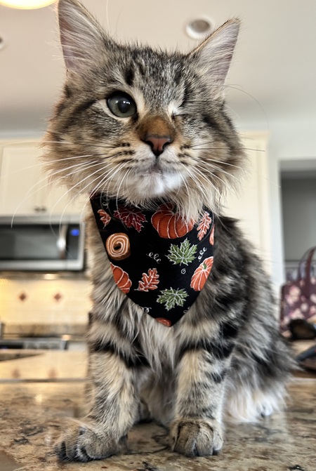Maggie