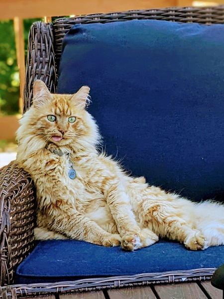 Leo
