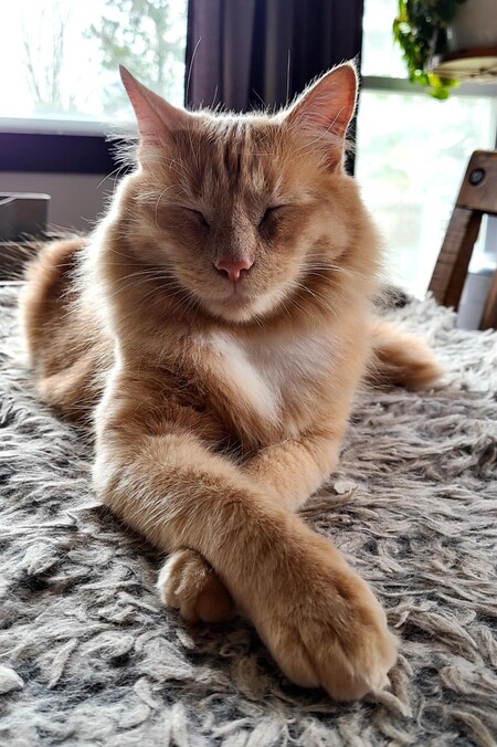 Colby Jack