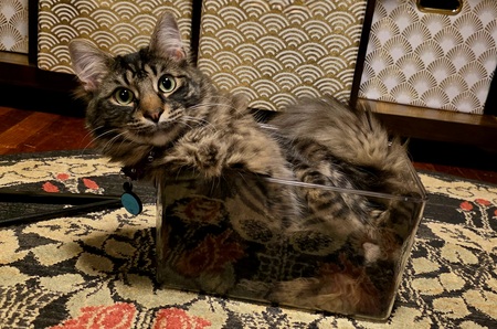 Charlie