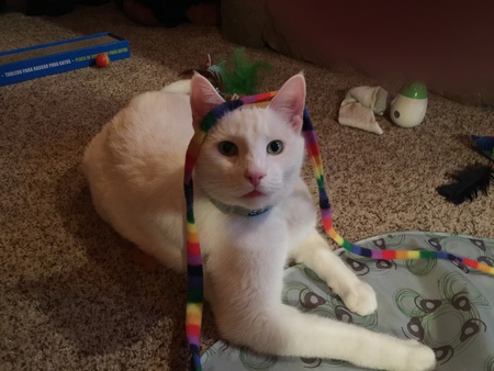 Marley