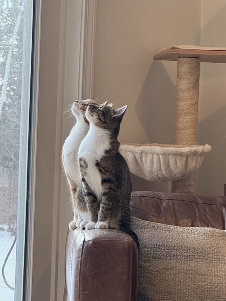 Jack and Zoe 