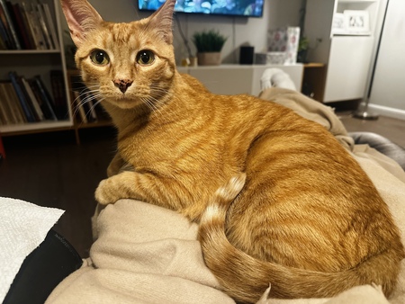 Catrick Swayze
