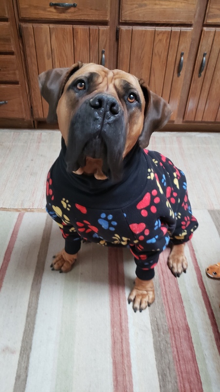 Ziggi