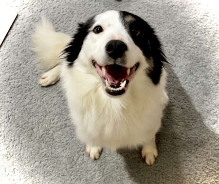 Mika