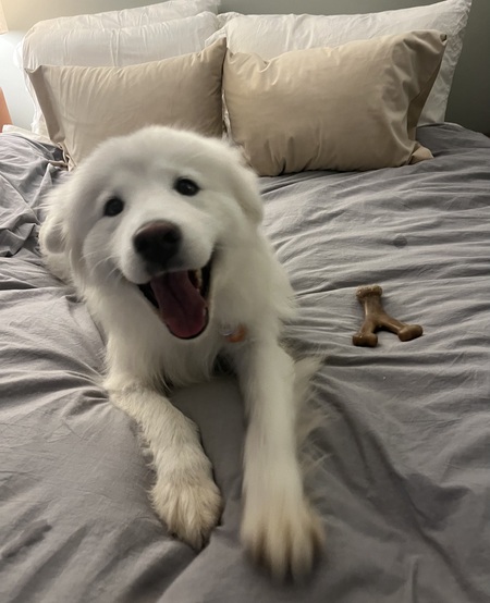 Charlie