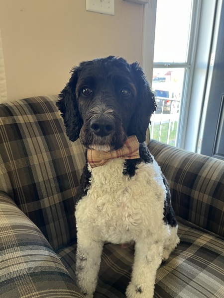 Porter