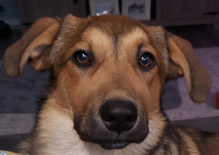 Jake