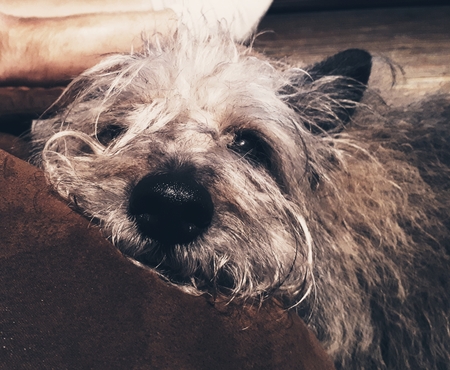 Winny