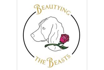 Beautying the Beasts