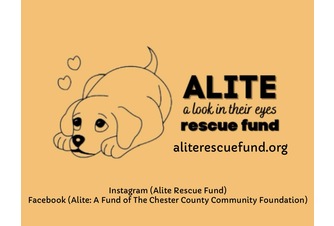 A.L.I.T.E. Fund
