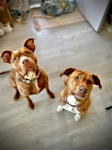 Cali and Maya 