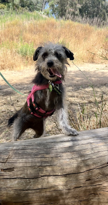 Matilda