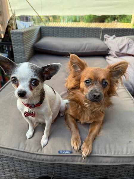George & Ruby